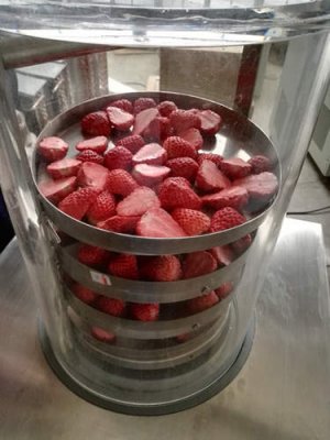 利用欣諭實驗室(shì)凍幹機進行草莓脆的冷凍幹燥實驗(yàn)欣諭XY-FD-1實驗室冷凍(dòng)幹燥機普通型(xíng) 利用(yòng)欣諭實驗室(shì)凍幹機進行草莓脆的冷凍幹燥實驗欣諭XY-FD-1實驗室冷凍幹燥機(jī)普通型