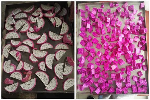 火龍(lóng)果等水果(guǒ)凍幹(gàn)後的(de)成品 火龍果等水果凍幹後的成品